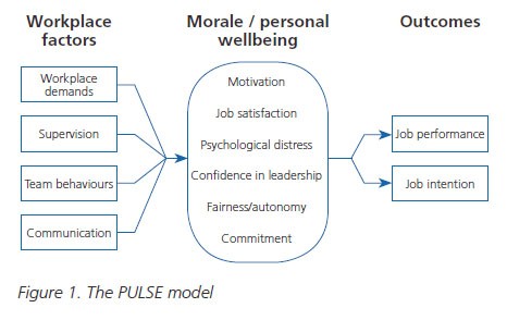 Figure 1. The PULSE model Figure 1. The PULSE model