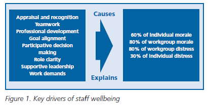 Figure 1. Key drivers of staff wellbeing Figure 1. Key drivers of staff wellbeing