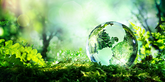 environment psychology and health
