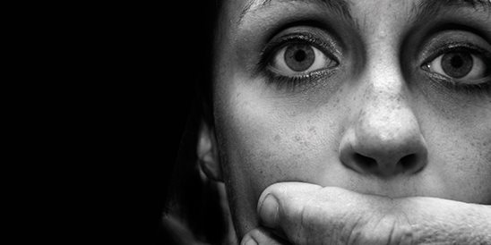working with domestic violence a clinician s guide to ethical and
